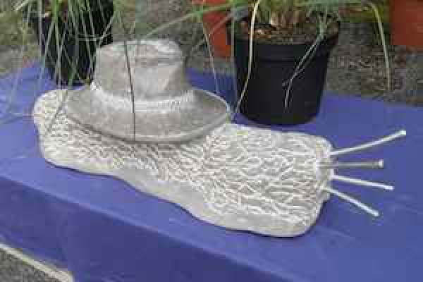 GeorgGrieb_DCowboy-Schnecke
