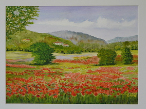 Walter Just_Aquarell-Landschaft-mit-Mohnblumen-P1180034